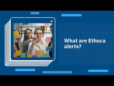 What are Ethoca alerts?